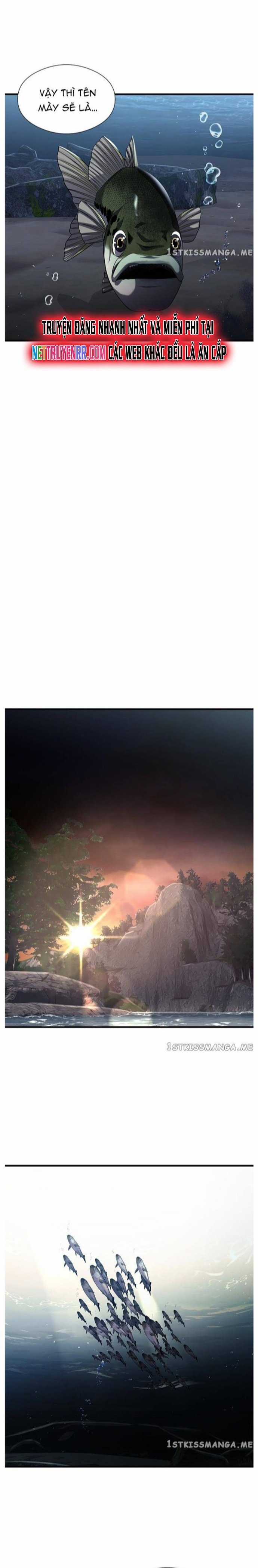 Hoá Thân Thành Cá - Chapter 30 - Trang 12