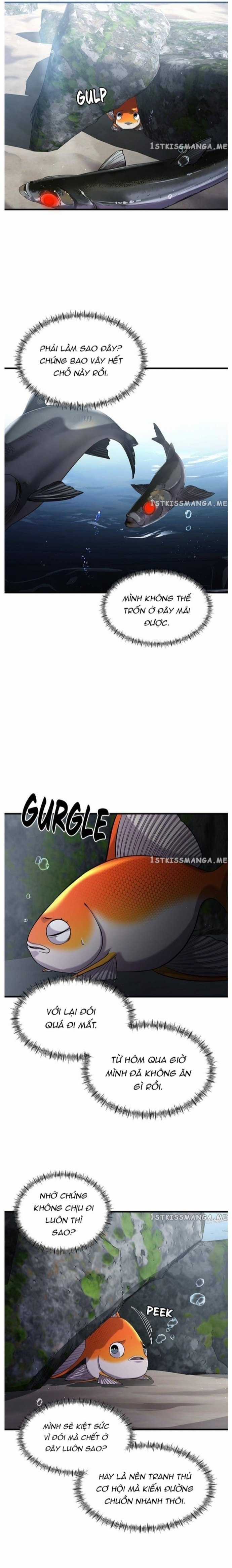 Hoá Thân Thành Cá - Chapter 30 - Trang 15