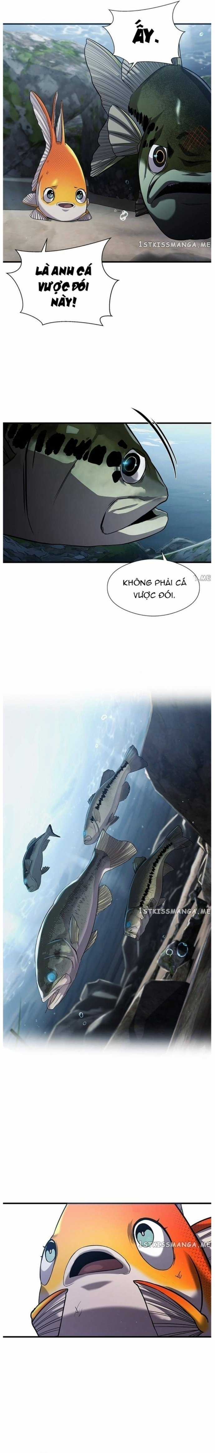 Hoá Thân Thành Cá - Chapter 30 - Trang 22