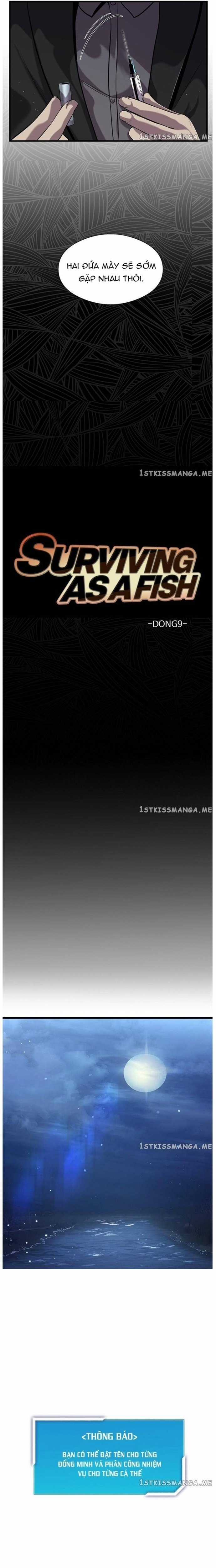 Hoá Thân Thành Cá - Chapter 30 - Trang 6