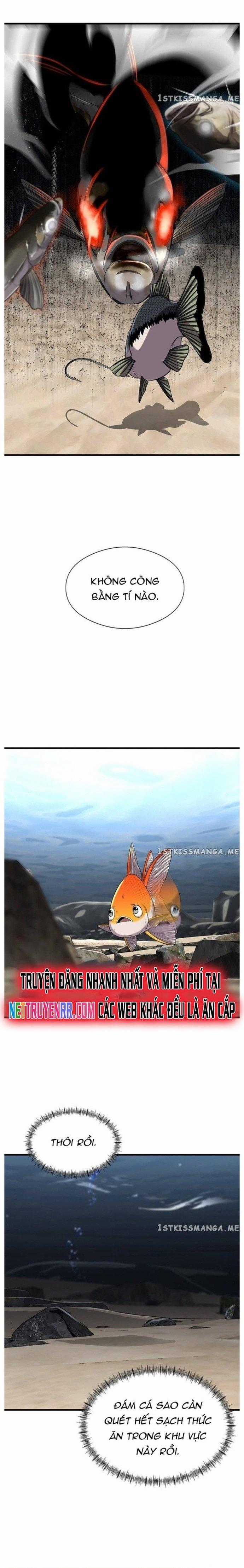 Hoá Thân Thành Cá - Chapter 31 - Trang 23