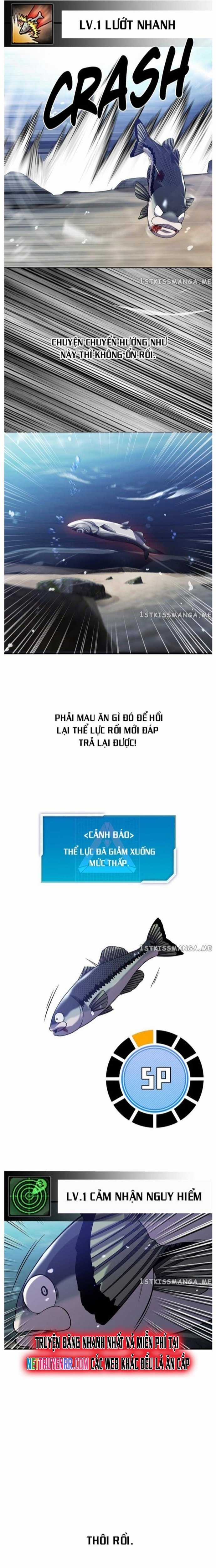 Hoá Thân Thành Cá - Chapter 33 - Trang 13