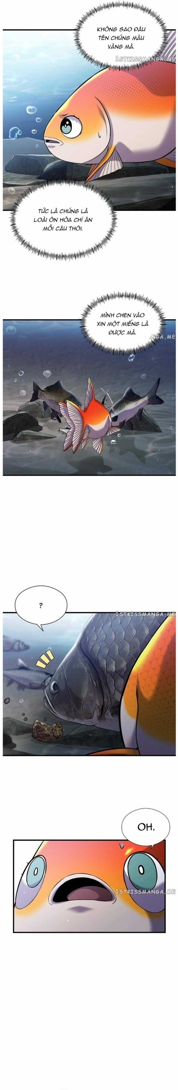 Hoá Thân Thành Cá - Chapter 33 - Trang 6