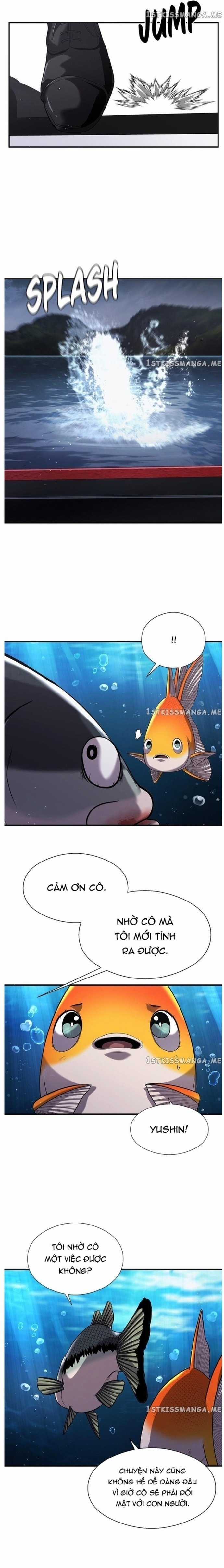 Hoá Thân Thành Cá - Chapter 37 - Trang 15