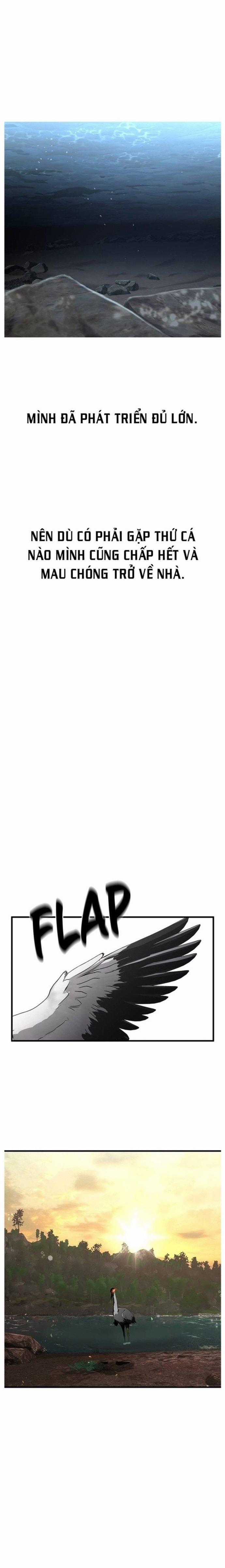 Hoá Thân Thành Cá - Chapter 39 - Trang 21