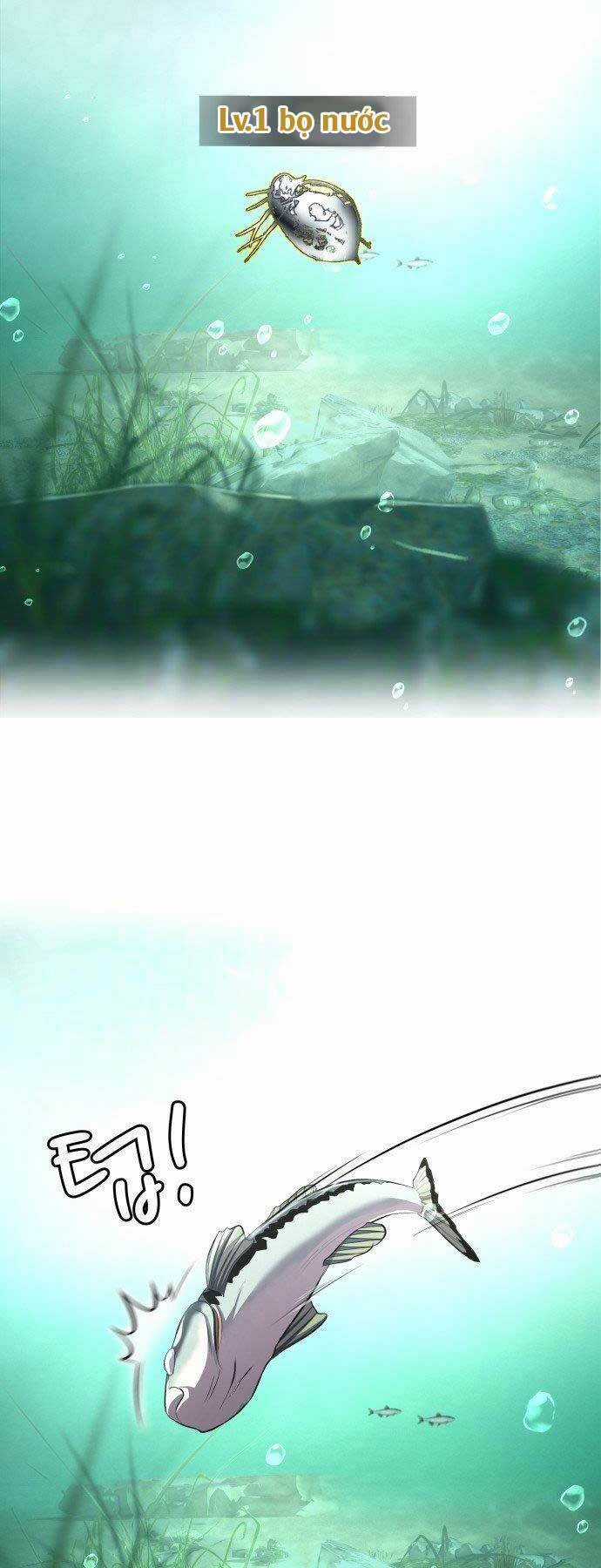 Hoá Thân Thành Cá - Chapter 4 - Trang 22