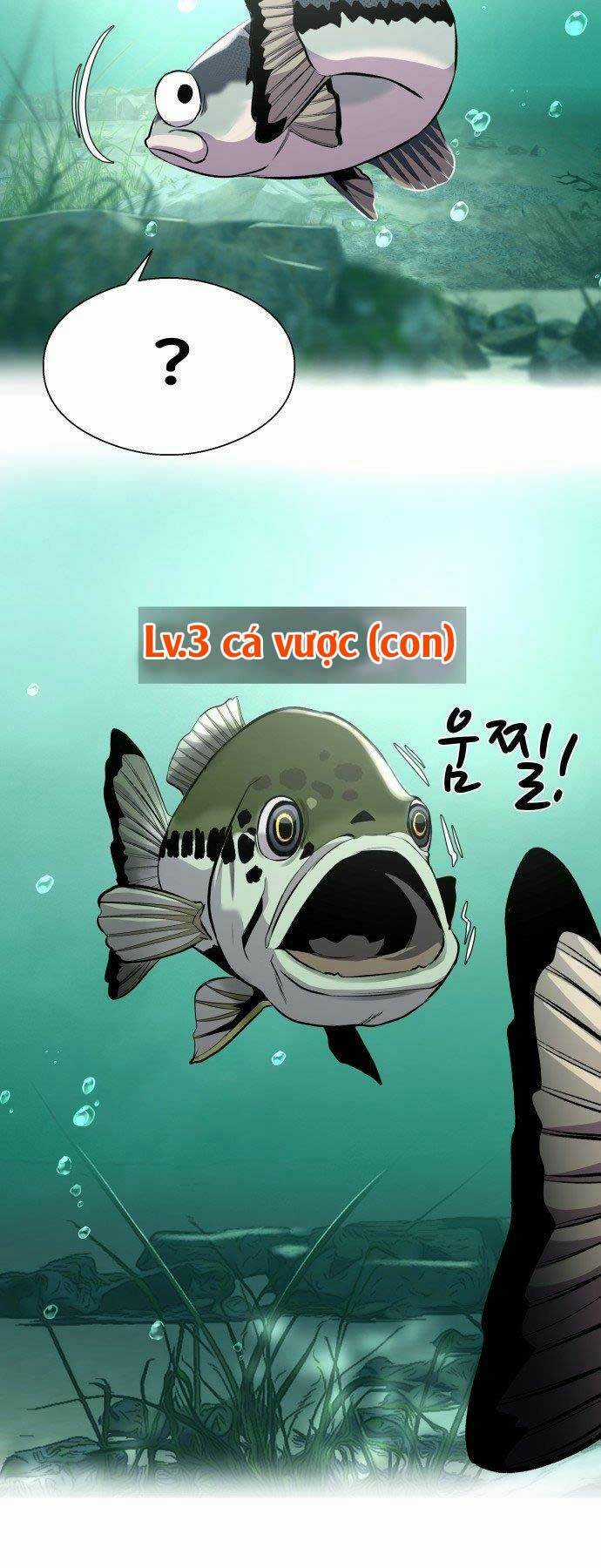 Hoá Thân Thành Cá - Chapter 4 - Trang 47