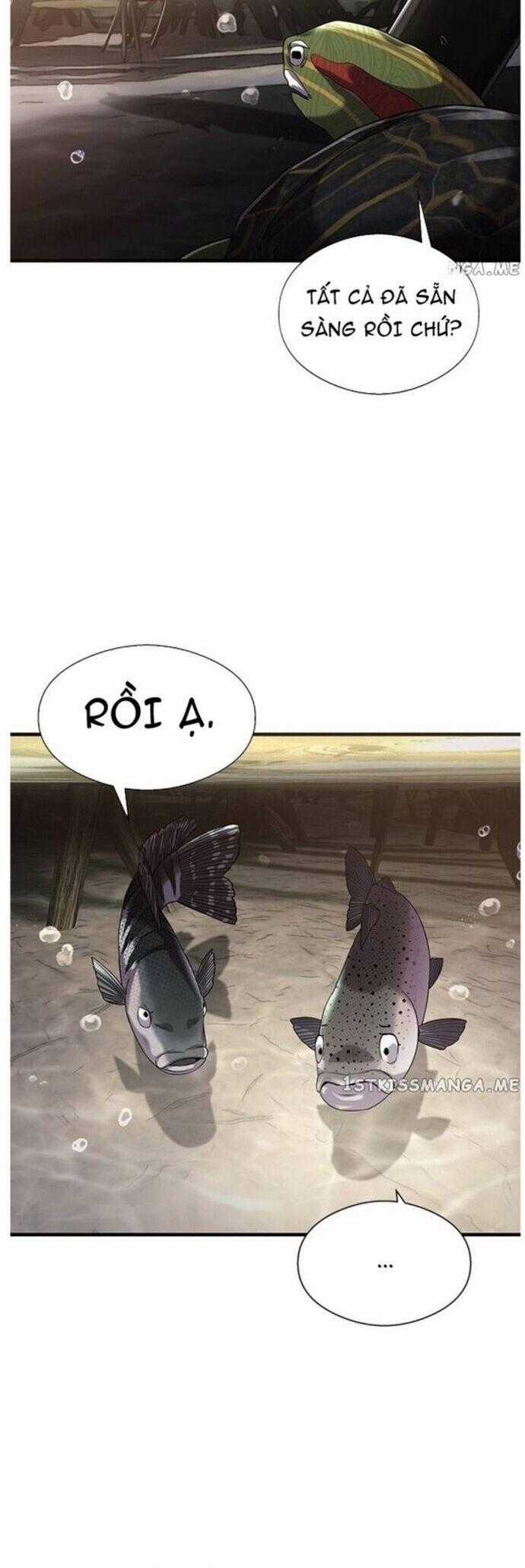 Hoá Thân Thành Cá - Chapter 40 - Trang 2