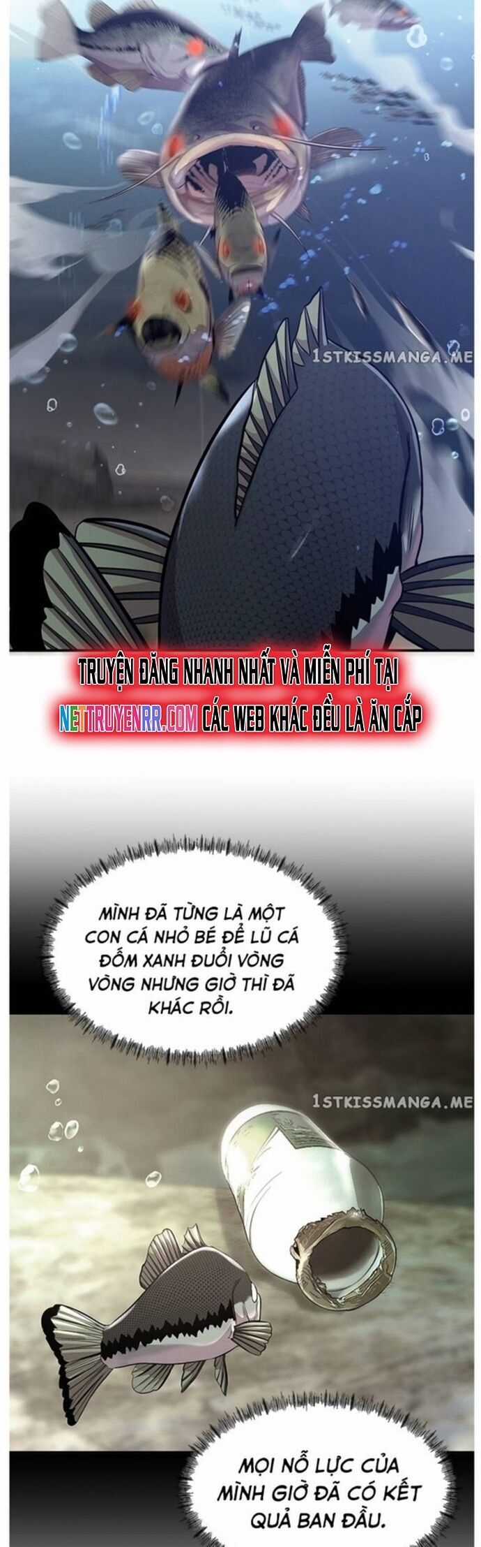 Hoá Thân Thành Cá - Chapter 40 - Trang 13