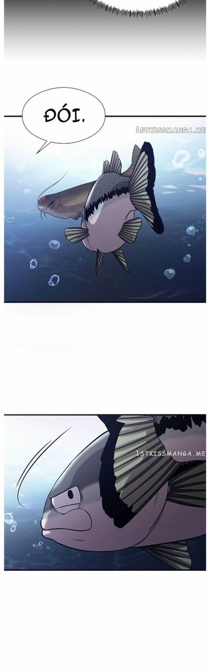 Hoá Thân Thành Cá - Chapter 40 - Trang 14