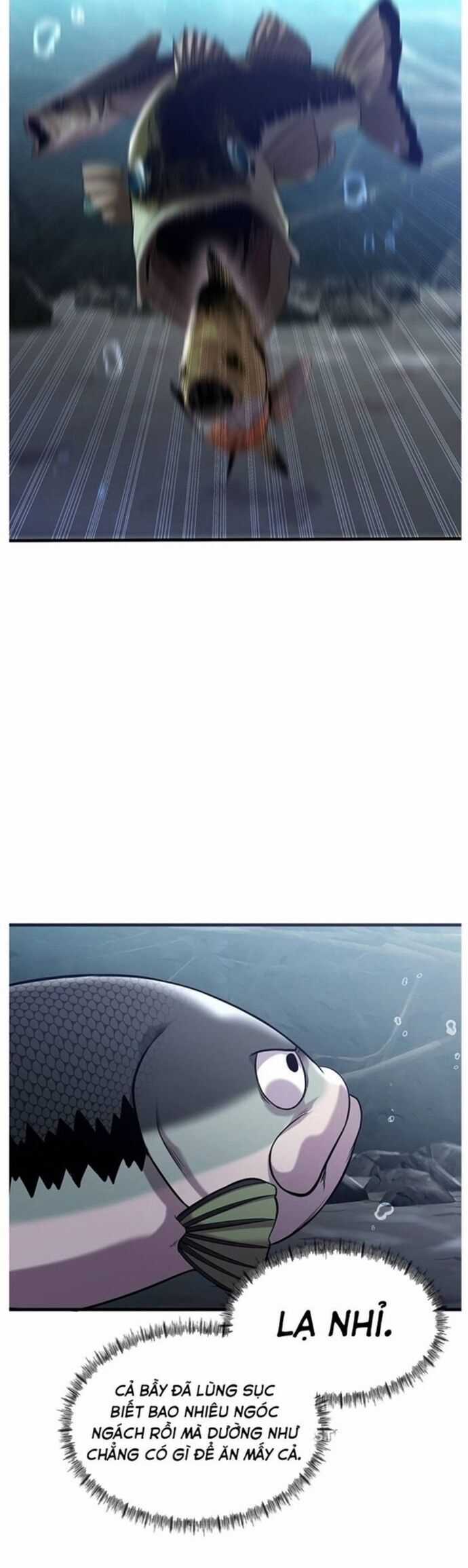 Hoá Thân Thành Cá - Chapter 40 - Trang 21