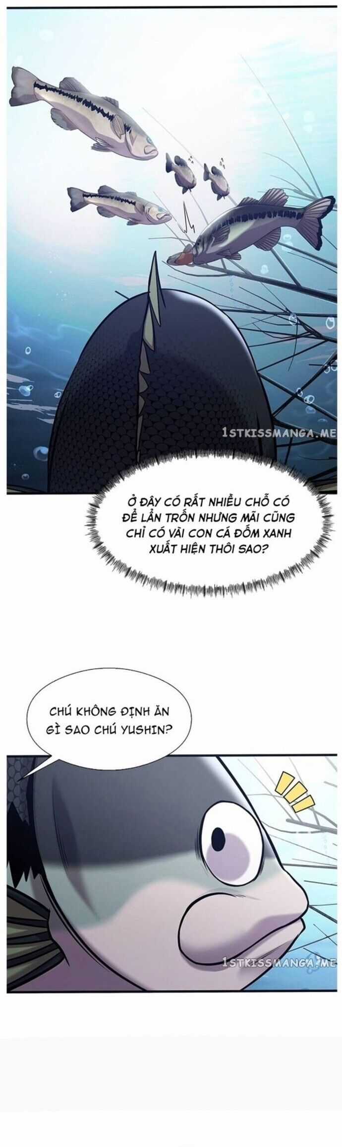 Hoá Thân Thành Cá - Chapter 40 - Trang 22