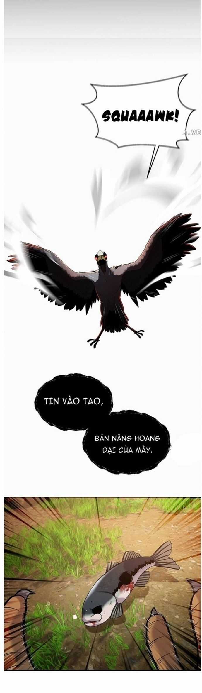Hoá Thân Thành Cá - Chapter 41 - Trang 12