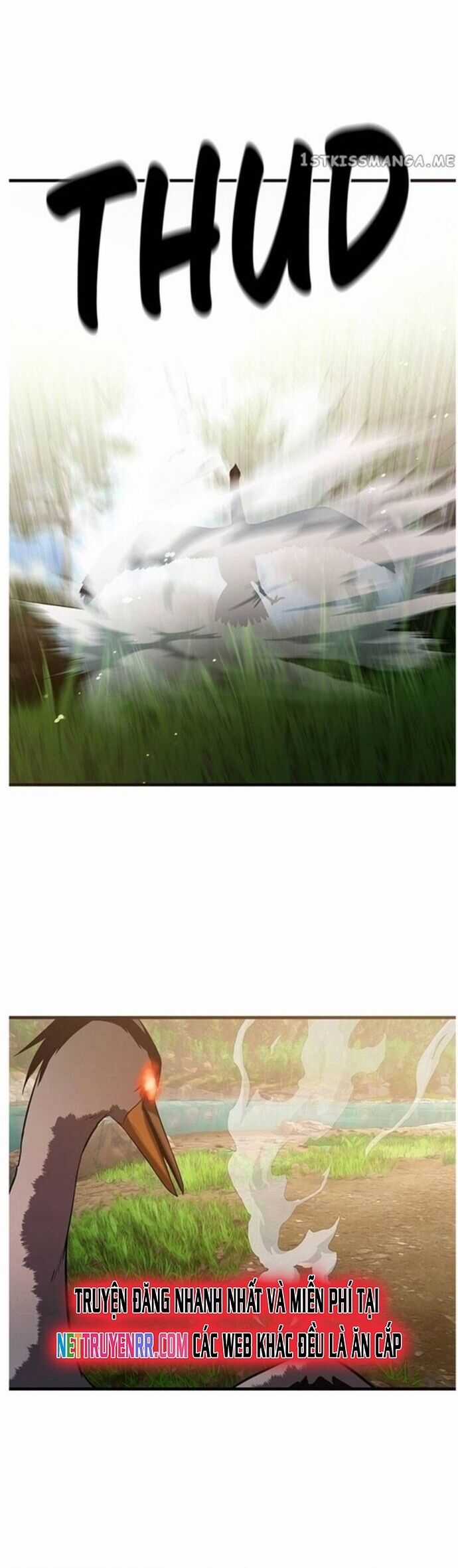 Hoá Thân Thành Cá - Chapter 41 - Trang 13