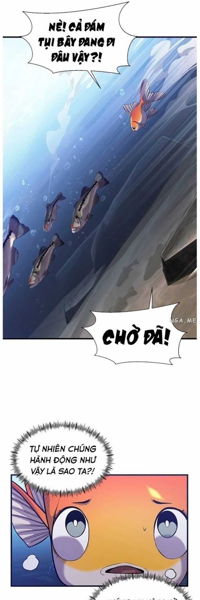 Hoá Thân Thành Cá - Chapter 41 - Trang 36