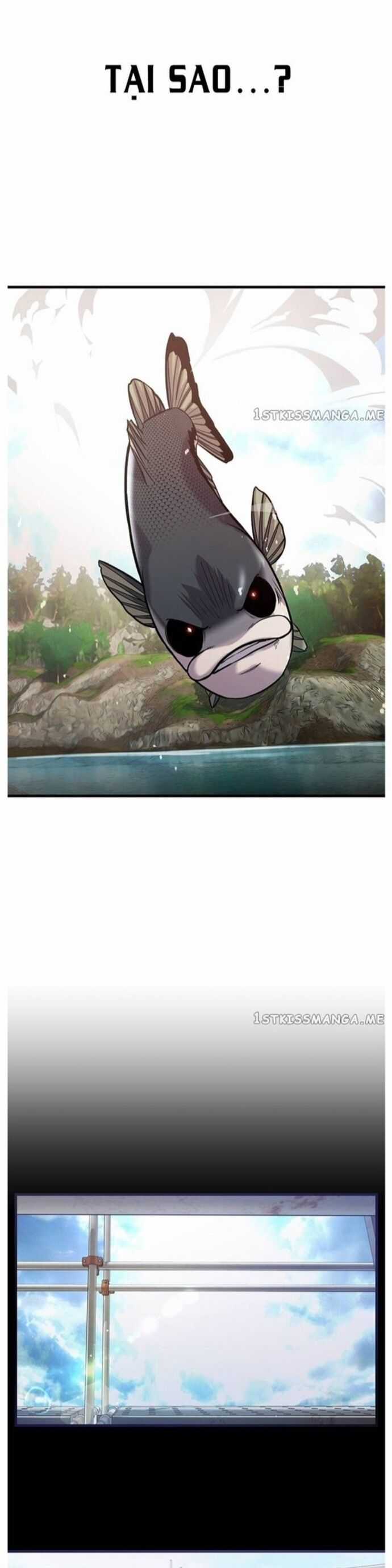 Hoá Thân Thành Cá - Chapter 42 - Trang 17