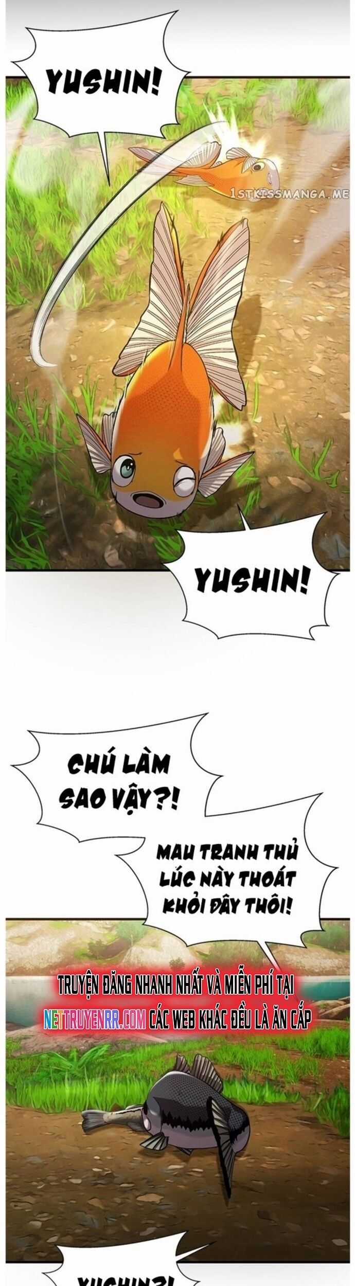 Hoá Thân Thành Cá - Chapter 42 - Trang 33