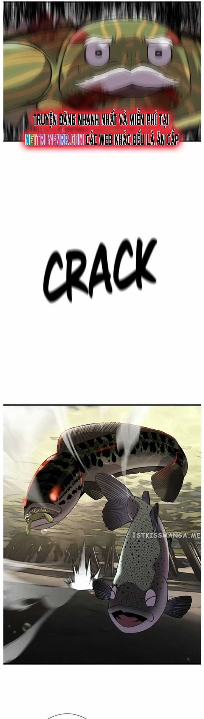 Hoá Thân Thành Cá - Chapter 42 - Trang 39