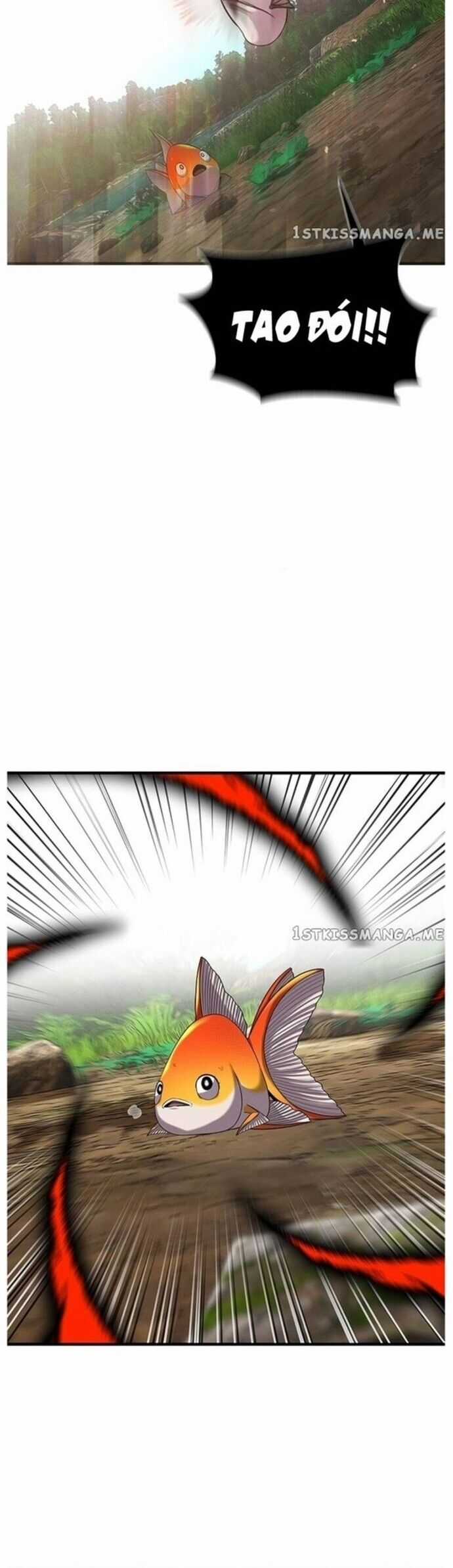 Hoá Thân Thành Cá - Chapter 43 - Trang 19