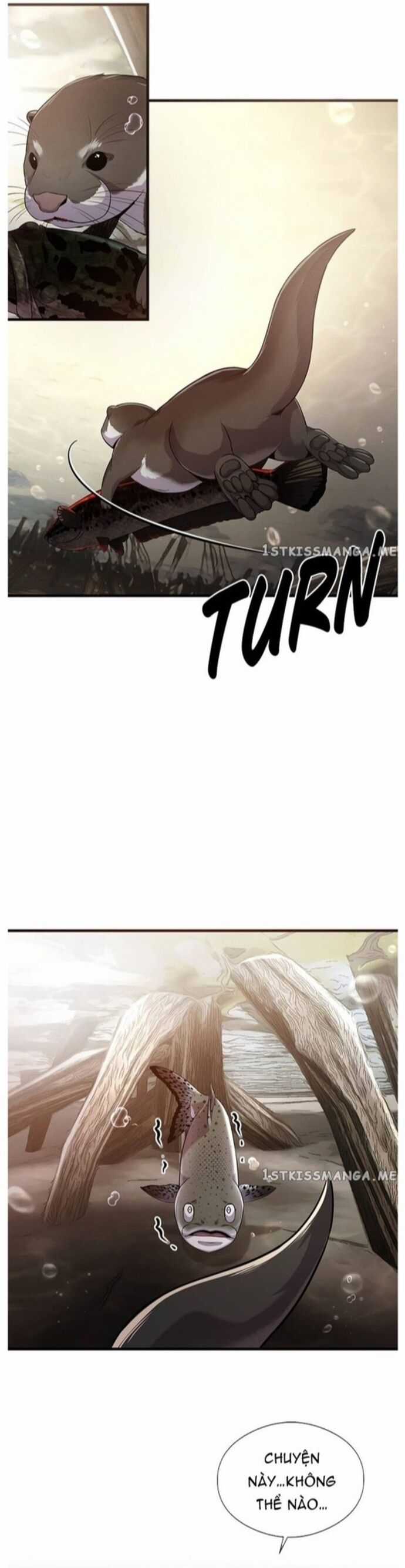 Hoá Thân Thành Cá - Chapter 43 - Trang 3