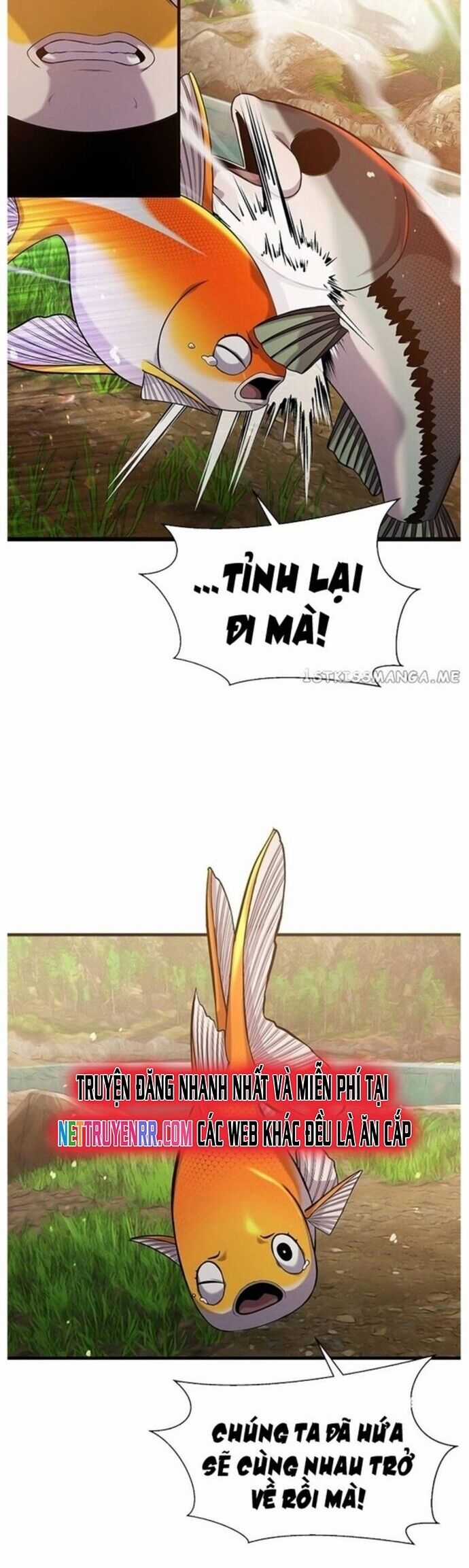 Hoá Thân Thành Cá - Chapter 43 - Trang 21