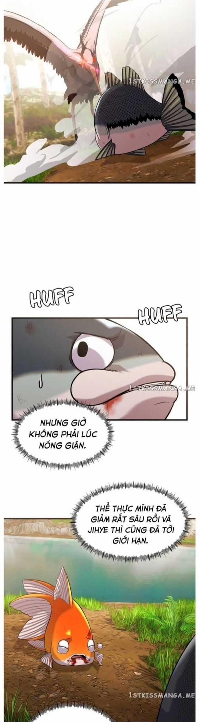 Hoá Thân Thành Cá - Chapter 44 - Trang 17