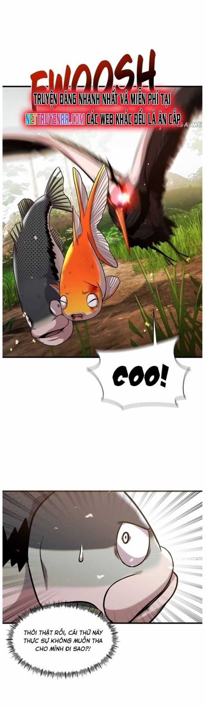 Hoá Thân Thành Cá - Chapter 44 - Trang 24