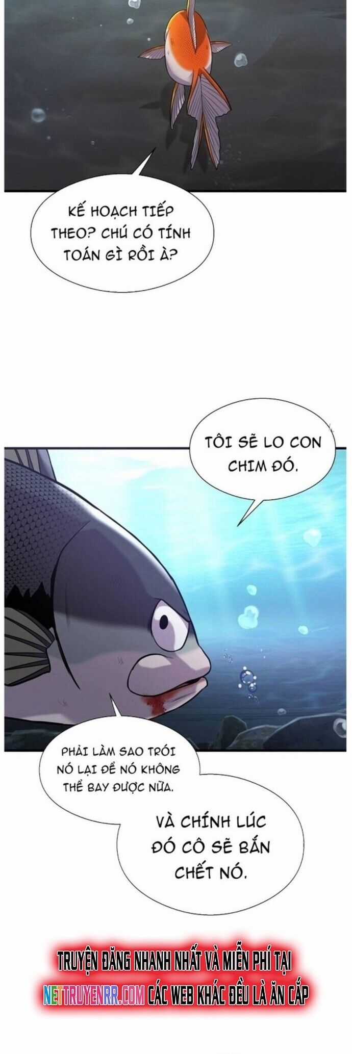 Hoá Thân Thành Cá - Chapter 44 - Trang 40