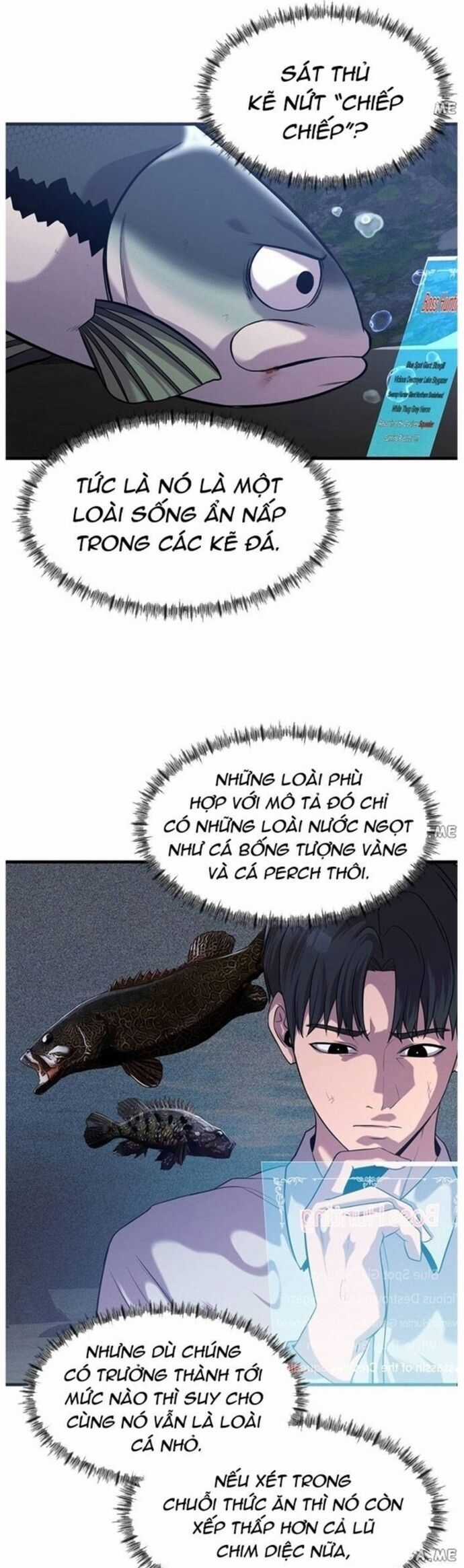 Hoá Thân Thành Cá - Chapter 47 - Trang 32