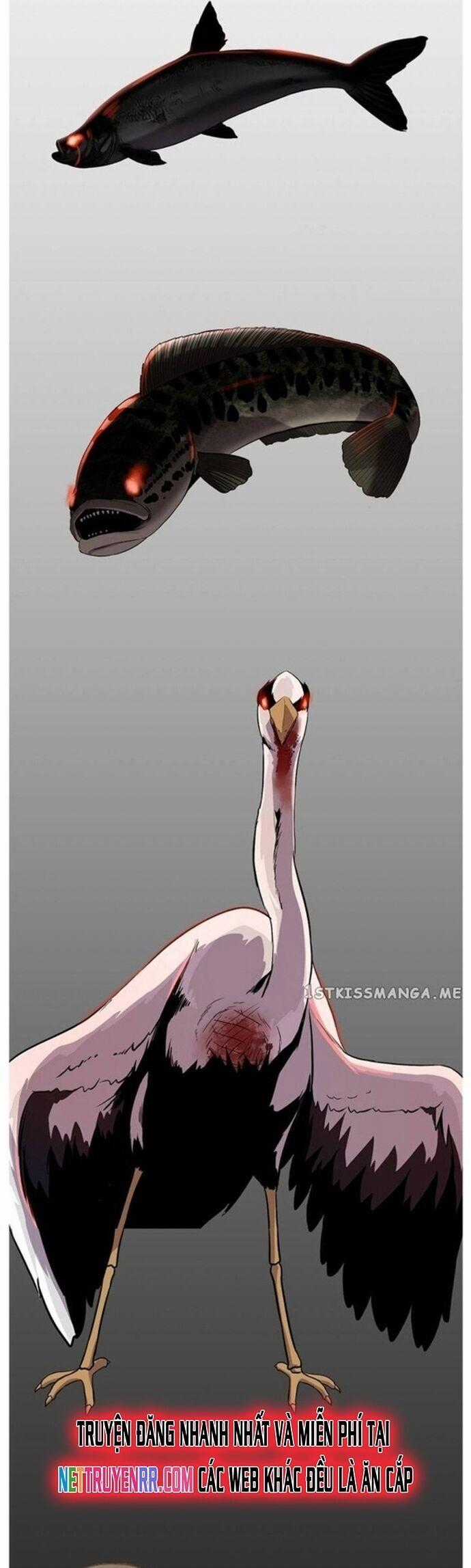 Hoá Thân Thành Cá - Chapter 47 - Trang 51