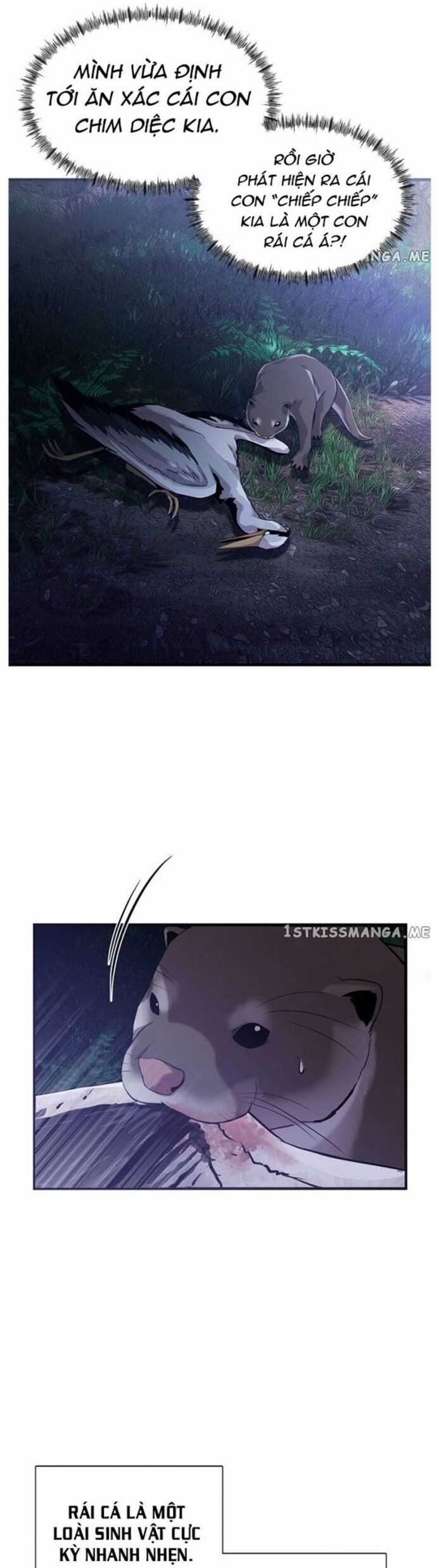 Hoá Thân Thành Cá - Chapter 48 - Trang 19