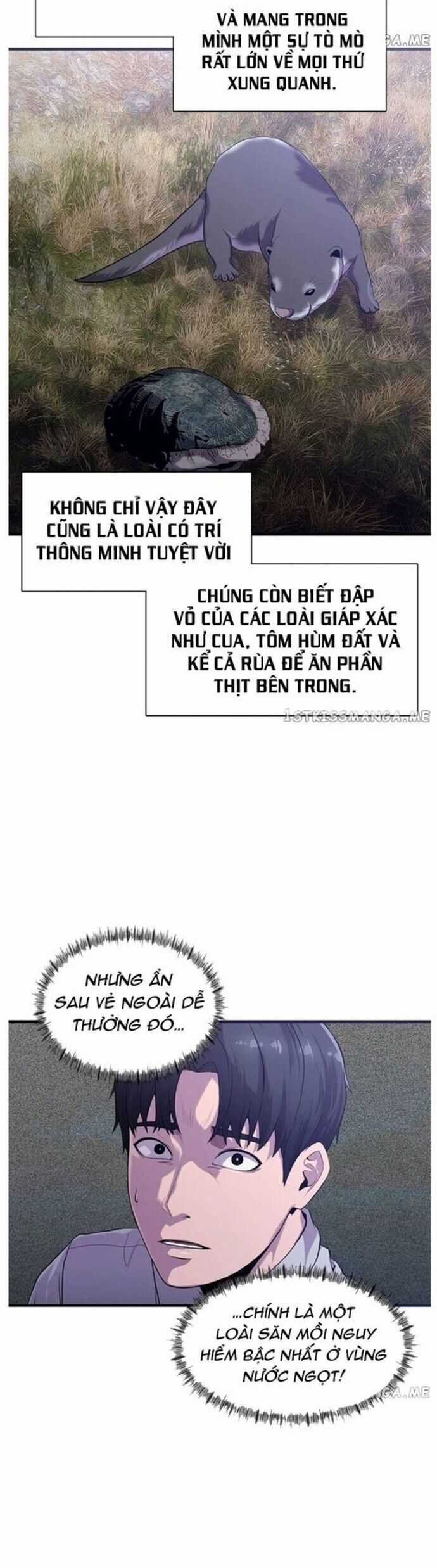 Hoá Thân Thành Cá - Chapter 48 - Trang 20