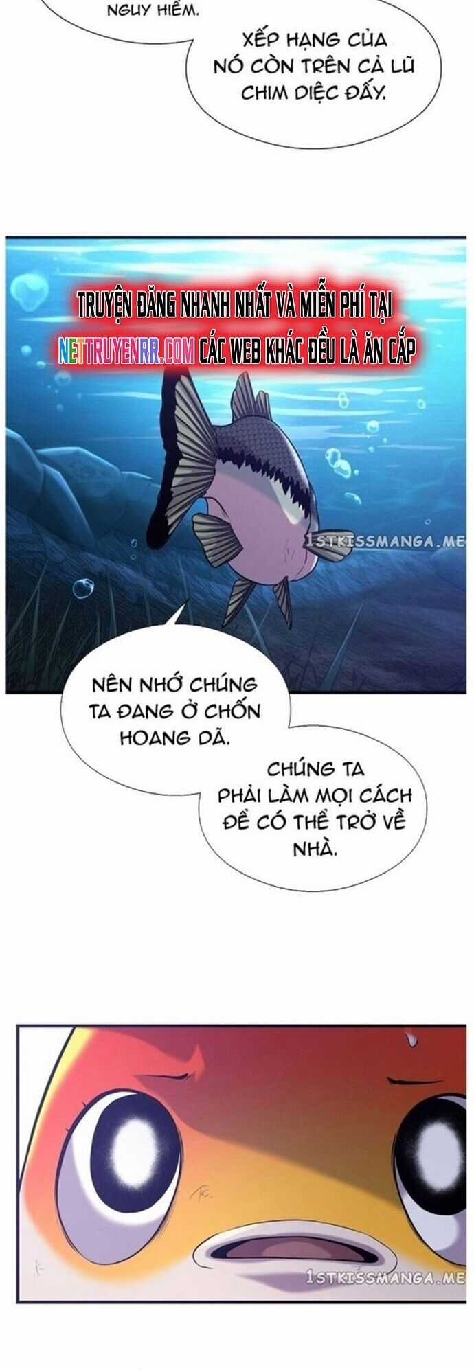 Hoá Thân Thành Cá - Chapter 48 - Trang 30