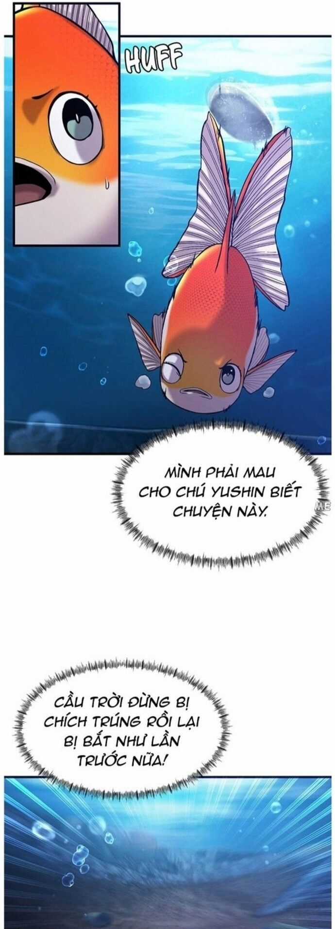 Hoá Thân Thành Cá - Chapter 49 - Trang 15