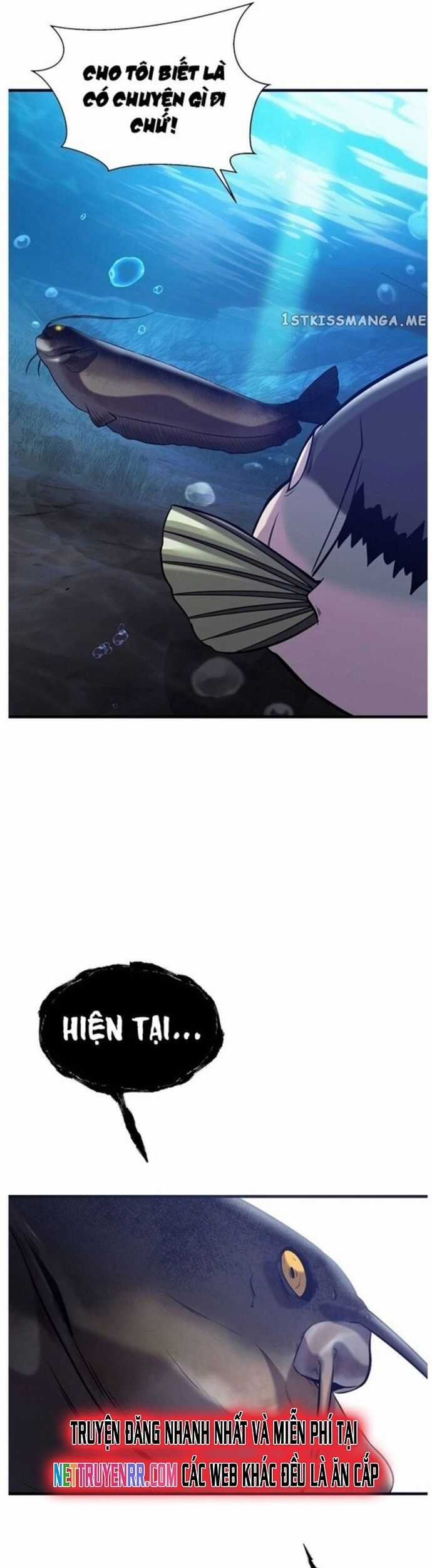 Hoá Thân Thành Cá - Chapter 49 - Trang 29