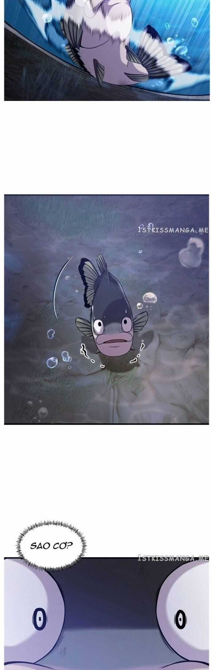 Hoá Thân Thành Cá - Chapter 49 - Trang 32