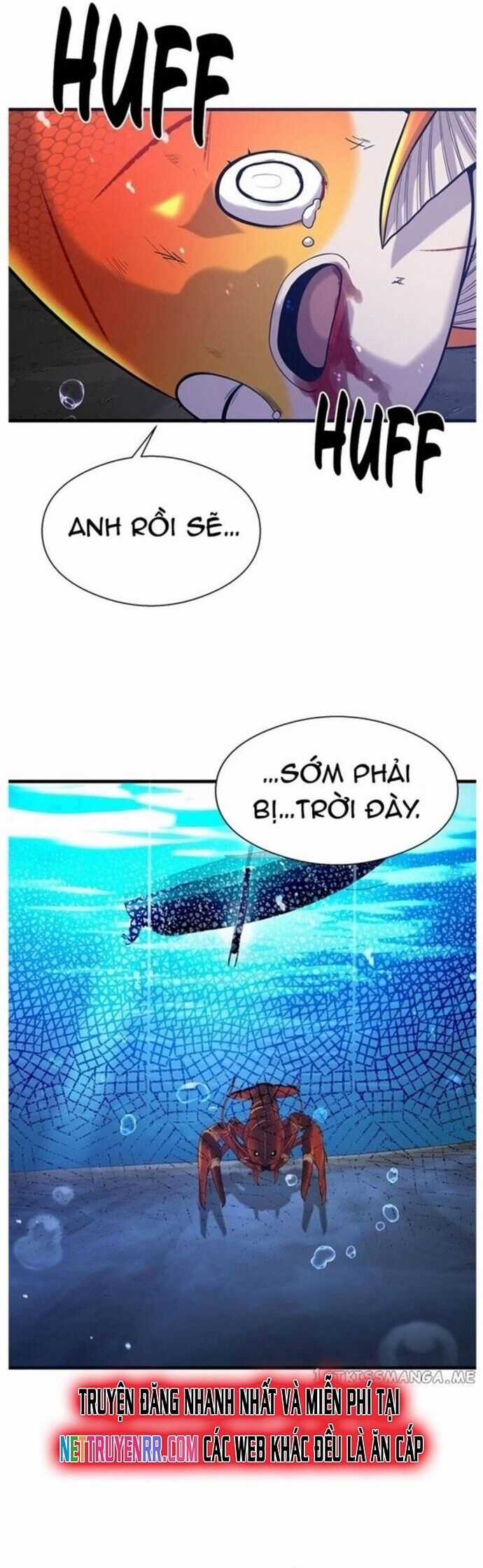 Hoá Thân Thành Cá - Chapter 49 - Trang 50