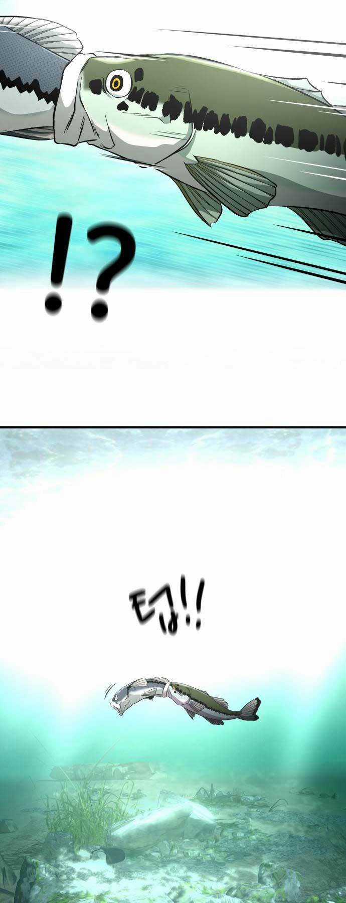 Hoá Thân Thành Cá - Chapter 5 - Trang 39