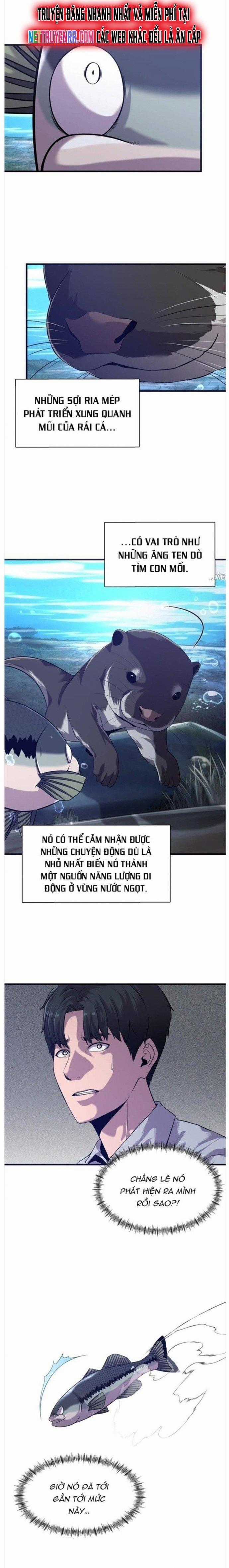 Hoá Thân Thành Cá - Chapter 50 - Trang 1