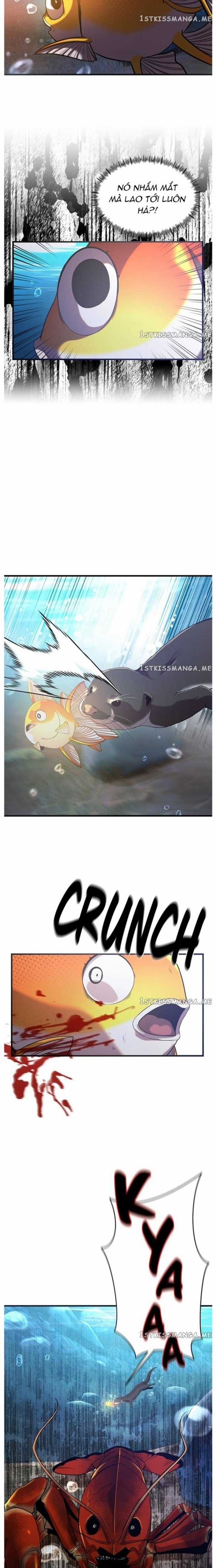 Hoá Thân Thành Cá - Chapter 51 - Trang 13