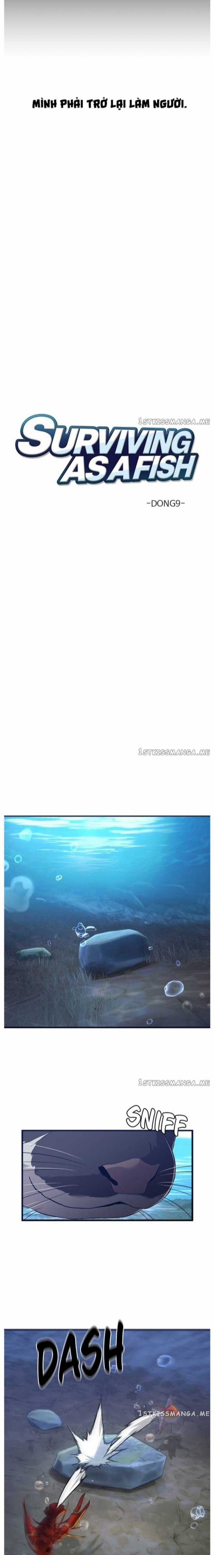 Hoá Thân Thành Cá - Chapter 51 - Trang 7