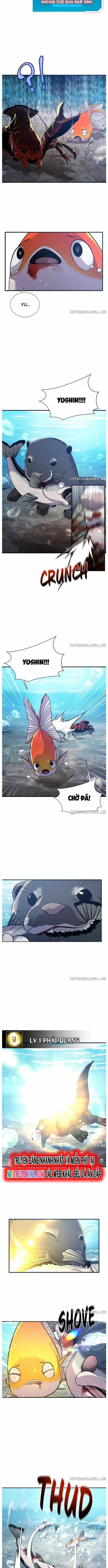 Hoá Thân Thành Cá - Chapter 52 - Trang 6