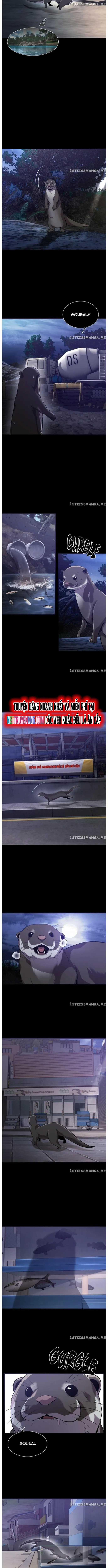 Hoá Thân Thành Cá - Chapter 52 - Trang 8