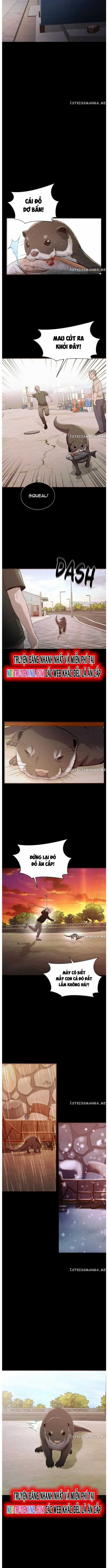 Hoá Thân Thành Cá - Chapter 52 - Trang 9