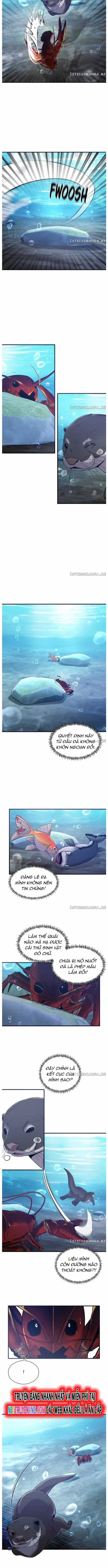 Hoá Thân Thành Cá - Chapter 53 - Trang 3