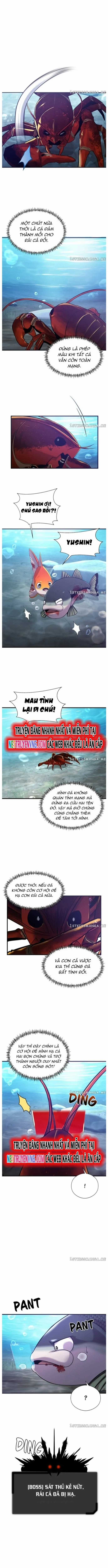 Hoá Thân Thành Cá - Chapter 53 - Trang 5