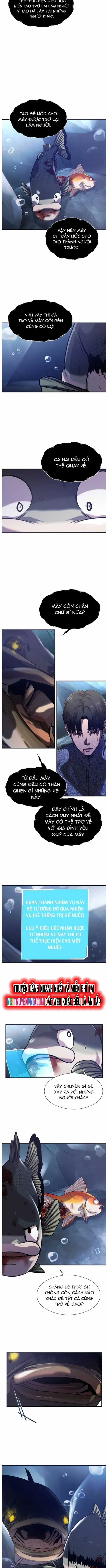 Hoá Thân Thành Cá - Chapter 55 - Trang 5