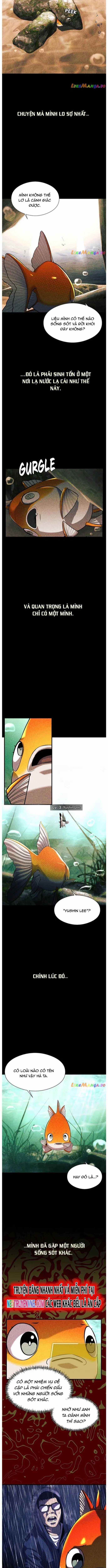 Hoá Thân Thành Cá - Chapter 56 - Trang 4