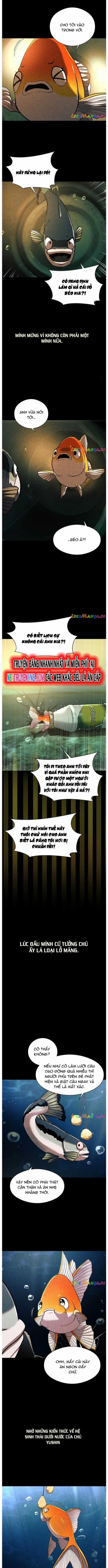 Hoá Thân Thành Cá - Chapter 56 - Trang 6