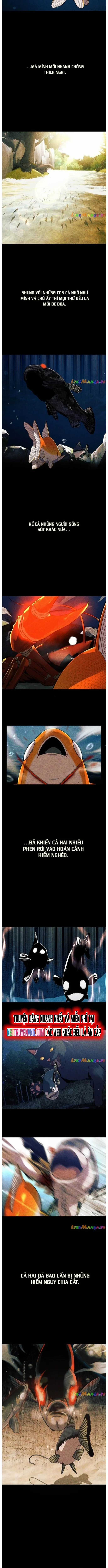 Hoá Thân Thành Cá - Chapter 56 - Trang 7
